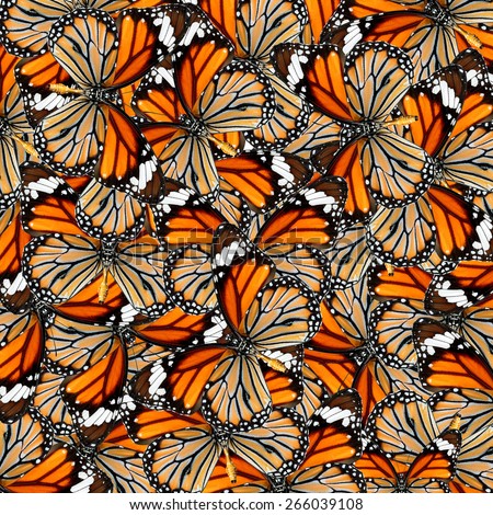 Butterfly, beautiful abstract pattern background texture made from compilation of Common Tiger Butterfly