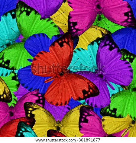 Butterfly ,beautiful pattern abstract background texture made from colorful butterfly