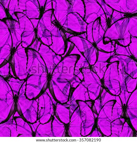 Butterfly pattern,beautiful background texture made from purple butterfly