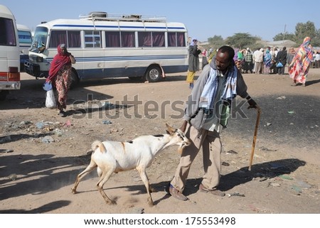 HARGEISA, SOMALIA - JANUARY 8, 2010: Hargeisa - the largest city in Somaliland, the second largest city in Somalia. Livestock is the main occupation of the local population. The livestock market.