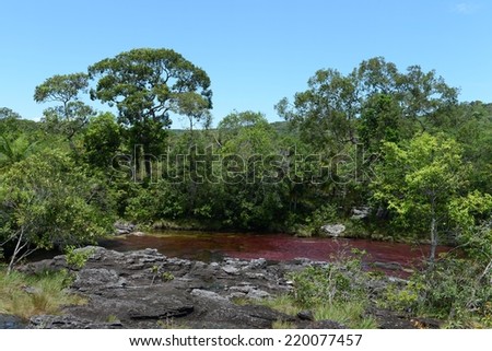CANIO CRISTALES, COLOMBIA - NOVEMBER 6, 2012: Mountain river Canio Cristales one of  most beautiful rivers of the world. The territory of the river has status of Natural heritage of humanity bu UNESCO