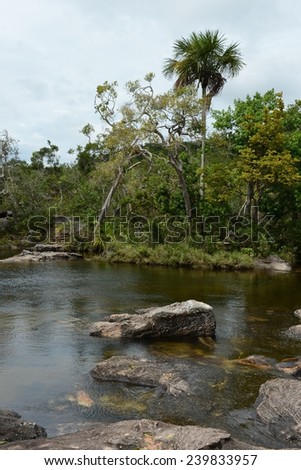CANIO CRISTALES, COLOMBIA - NOVEMBER 5, 2012: Mountain river Canio Cristales one of  most beautiful rivers of the world. The territory of the river has status of Natural heritage of humanity bu UNESCO
