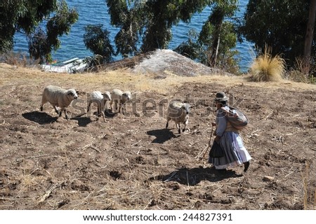ISLAND OF THE MOON, BOLIVIA - SEPTEMBER 4, 2010 : Island of the Moon is located on lake Titicaca. Incas live here in seclusion. Unknown woman on the Island of the Moon.
