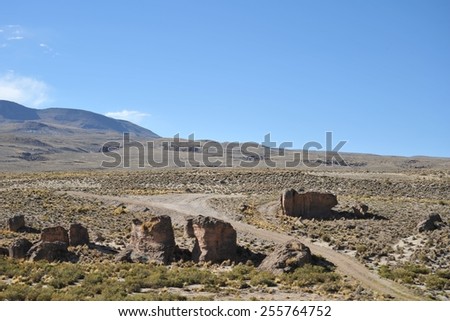 ALTIPLANO, BOLIVIA - SEPTEMBER 8, 2010: Altiplano is a vast plateau in the Andes mountains. Is the Western lower part of the interior plateau of the Central Andes and is the border area.