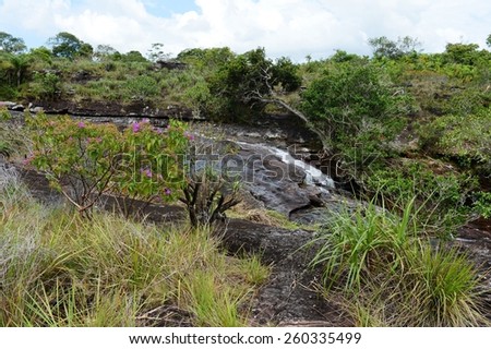 CANIO CRISTALES, COLOMBIA - NOVEMBER 7, 2012: Mountain river Canio Cristales one of  most beautiful rivers of the world. The territory of the river has status of Natural heritage of humanity bu UNESCO