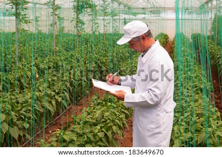 Agriculture Engineer and Greenhouse