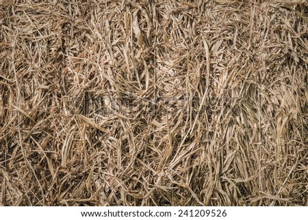 Haystack background front view during harvest time