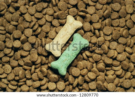 Dog food background with two bone shaped treats placed on top