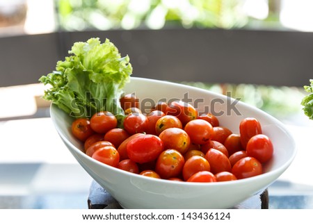 Tomato for salad bar on a counter