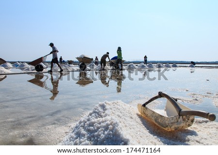 Salt pan and workers working on day time, salt pile in Thailand