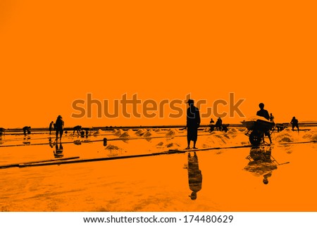 Silhouette of salt pan and workers working on day time, salt pile in Thailand