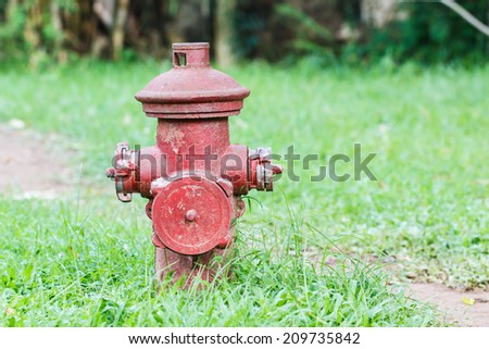 Red water pump on green grass