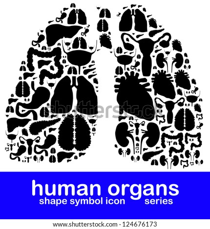 Human internal organs silhouette symbols composed in the shape of lung