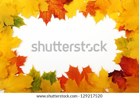 Border from autumn maple leaves isolated on a white background.