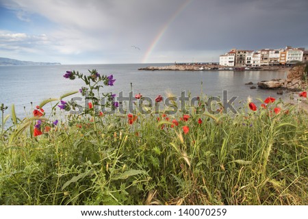 Rainbow at a sea town with red flowers at the foreground/ Rainbow in the sky