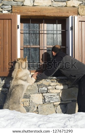 Man and dog looking at window
