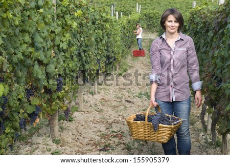 Woman working in the vineyards