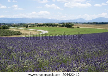 Plateau Valensole in Provence, South-eastern France