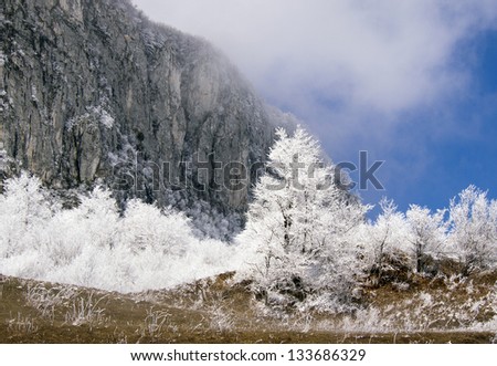 Mountain landscape with limestone cliffs, blue sky and white forest