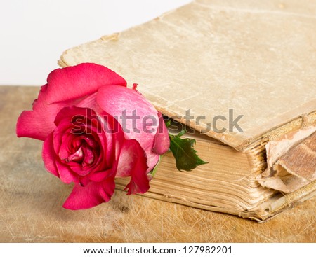 Old book with embedded pink rose