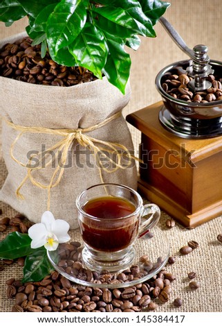 Coffee cup and orchid, coffee mill, bag with coffee tree and beans on the sackcloth