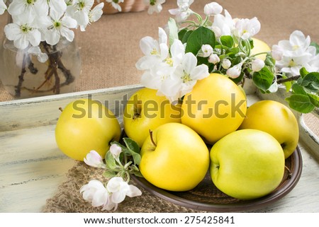 Yellow apples on the plate with twig of apple tree and knitted napkin on the wooden salver in style Shabby Chic