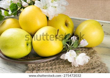 Yellow apples on the plate with twig of apple tree and knitted napkin on the wooden salver in style Shabby Chic