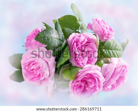Bouquet of pink roses on blurred pastel background. For this photo applied haze effect.