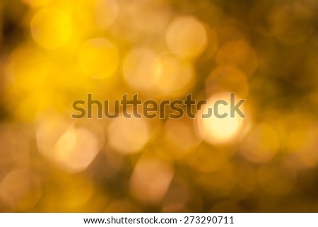 Bokeh Nature background.  abstract orange background from tree. Defocused lights from tree and leaves