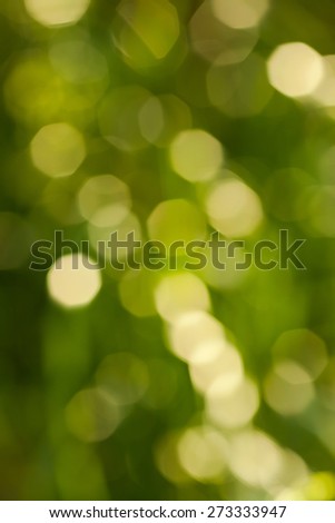 Bokeh Nature background.  abstract green background from tree. Defocused lights from tree and leaves.