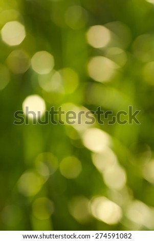 Bokeh Nature background.  abstract green background from tree. Defocused lights from tree and leaves. Vertical image