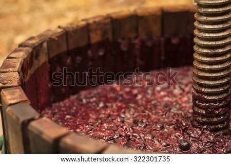 Grape harvest: Winepress with red must and helical screw