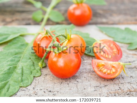 Fresh, ripe cherry tomatoes on an old wood. Tomato leaves in the background.
