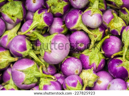 Eggplant purple from market in thailand.