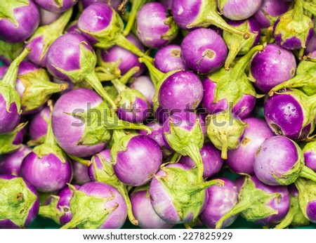 Eggplant purple from market in thailand.