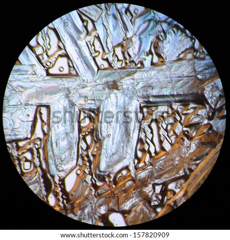 Dead Sea salt crystals illuminated with polarized light from below and incandescent light from the side, 50x