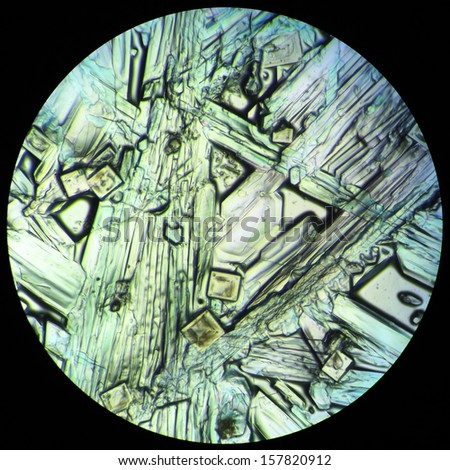 Dead Sea salt crystals, square and rod-shaped, illuminated with polarized light, 50x