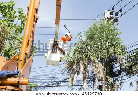 Electrician worker in cherry picker solve palm leaf and protect a wire of the power line