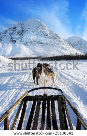 Freedom of dog sledging above the Arctic Circle