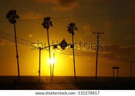 Palms and poles on the street against an orange sky and setting sun.