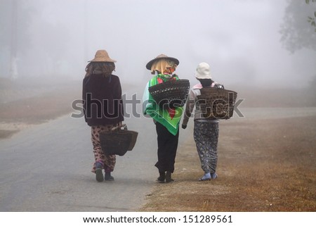 Asian women with baskets on foggy path, photo from behind, Putao, Myanmar (Burma).