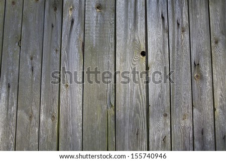 Wooden mossy fence with rusty nails, wall texture, wood background.