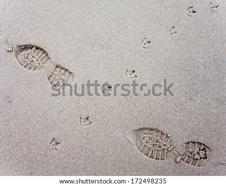 Bird tracks in sand of a beach crossing human footprints, vignetting effect and shallow field of depth.