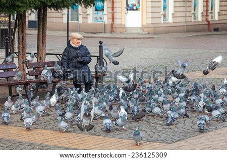 BIALOGARD, POLAND - NOVEMBER 27, 2014: Woman feeding pigeons in Liberty Square located in the hearth of the city.