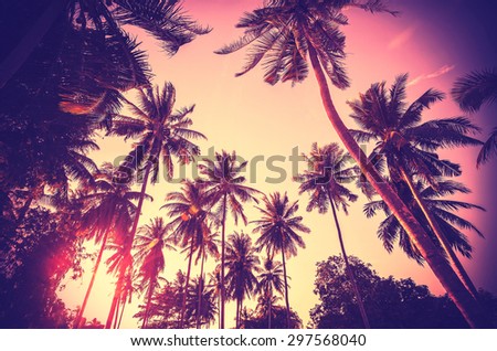 Vintage toned holiday background made of palm tree silhouettes at sunset.
