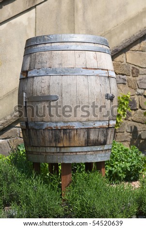 Old Wooden Barrel with Door and Young Lavender