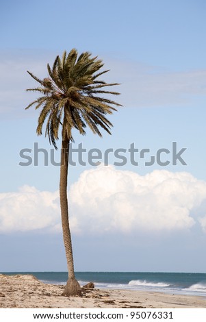 thousand palms middle eastern singles Three desert fan palm oases thousand palms oasis / coachella valley preserve take ramon road east to thousand palms road from indio, take washington street . thousand palms middle eastern singles Three desert fan palm oases thousand palms oasis / coachella valley preserve take ramon road east to thousand palms road from indio, take washington street .