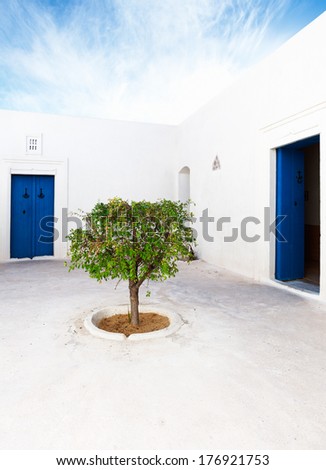 White patio with blue doors and green tree