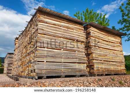 Stacks of wooden boards at the lumber yard