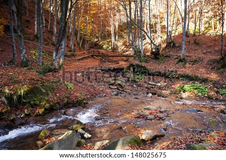 Autumn forest with wood bridge over creek in yellow maple forest